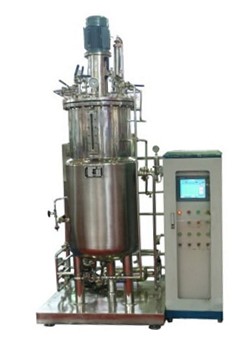 厭氧羞羞视频大全